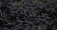 Desktop Screenshot of bolenwine.com